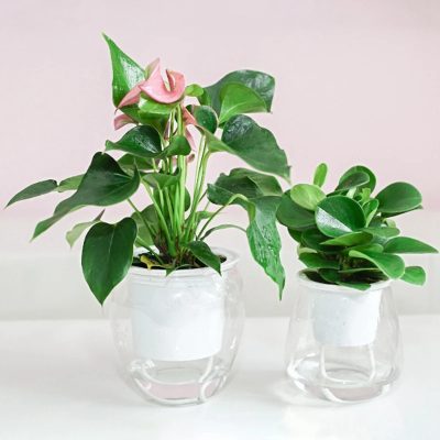 Plastic Pot 4 3 400x400