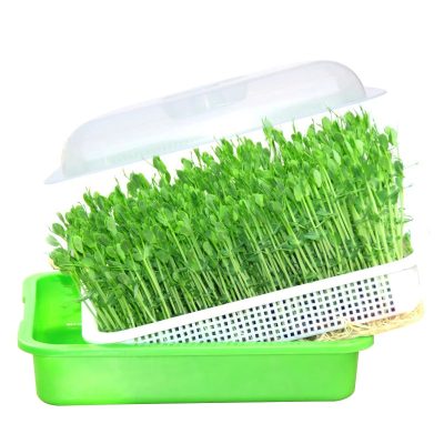 Plastic Pot 4 7 400x400