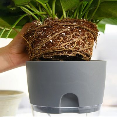 Plastic Pot 5 12 400x400