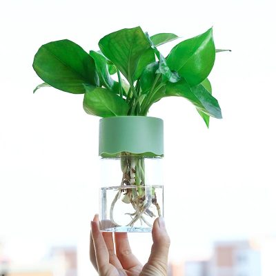 Plastic Pot 5 13 400x400