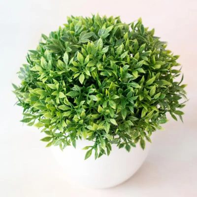 Plastic Pot 5 26 400x400