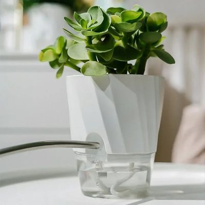 Plastic Pot 5 4 400x400