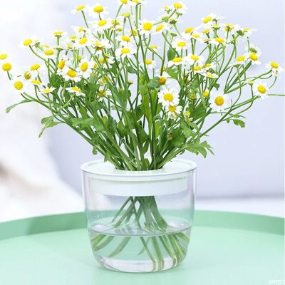 Plastic Pot 5 9 400x400