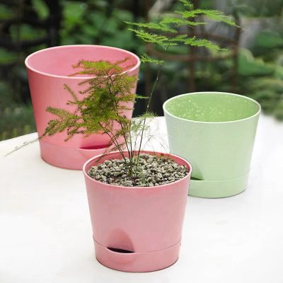Plastic Pot 6 15 400x400