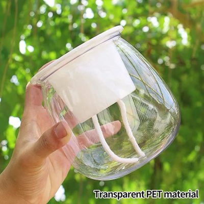 Plastic Pot 6 2 400x400
