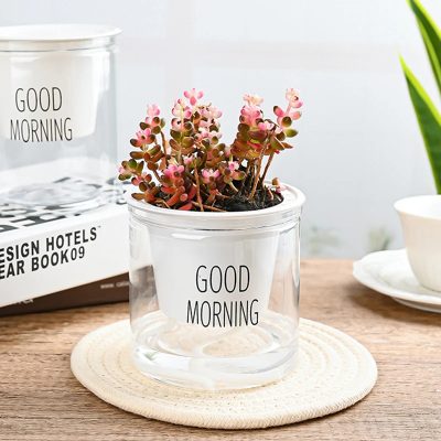 Plastic Pot 6 25 400x400