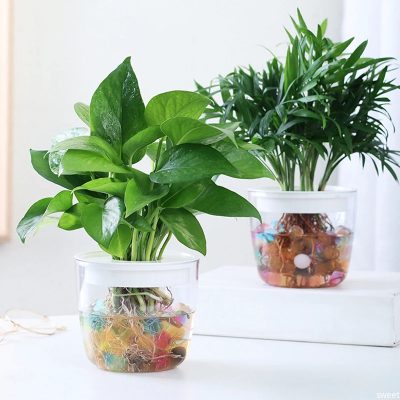 Plastic Pot 6 8 400x400