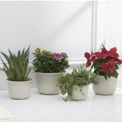 Plastic Pots 1 18 400x400