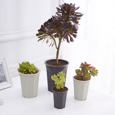 Plastic Pots 1 20 400x400