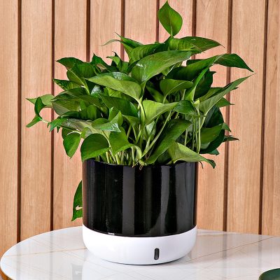 Plastic Pots 1 23 400x400