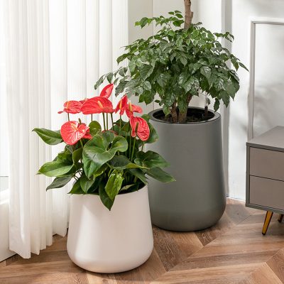 Plastic Pots 1 24 400x400