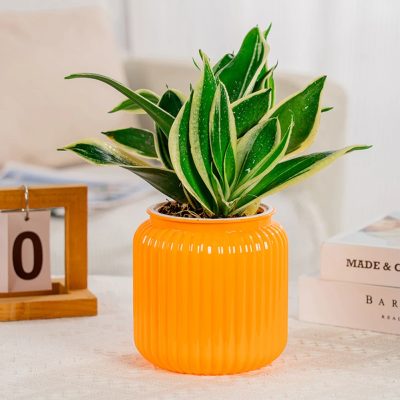 Plastic Pots 1 29 400x400