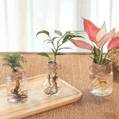 Plastic Pots 1 41 400x400