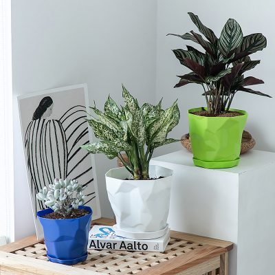 Plastic Pots 2 25 400x400
