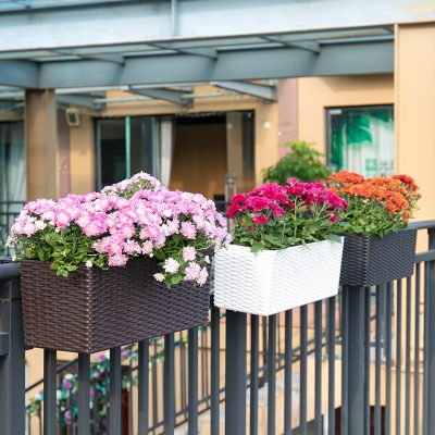 Plastic Pots 2 26 400x400