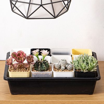 Plastic Pots 2 27 400x400