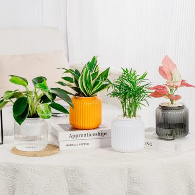 Plastic Pots 2 29 400x400