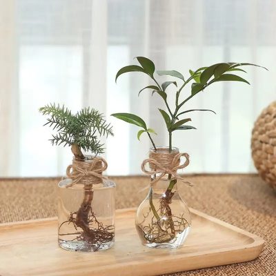 Plastic Pots 2 41 400x400