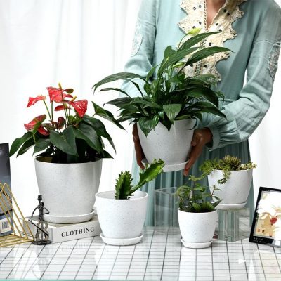 Plastic Pots 2 47 400x400