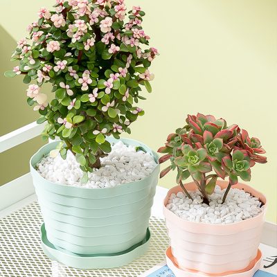 Plastic Pots 3 15 400x400