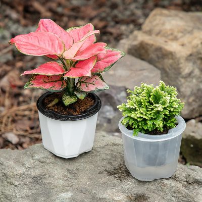 Plastic Pots 3 21 400x400