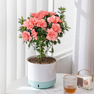 Plastic Pots 3 23 400x400