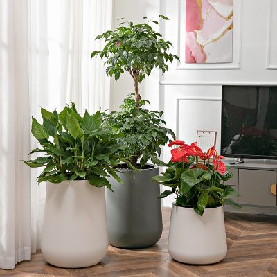 Plastic Pots 3 24 400x400