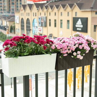 Plastic Pots 3 26 400x400