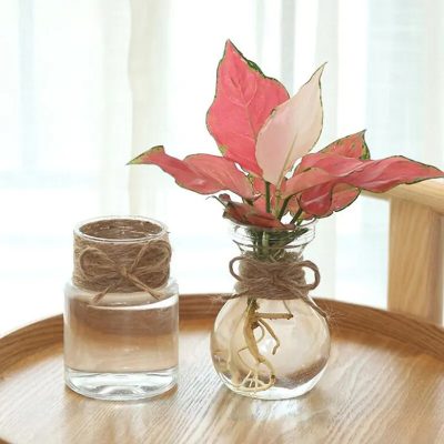 Plastic Pots 3 41 400x400