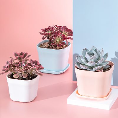 Plastic Pots 4 19 400x400