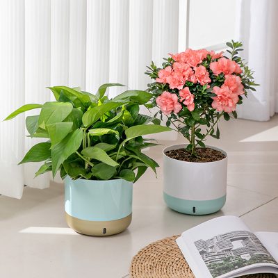 Plastic Pots 4 26 400x400