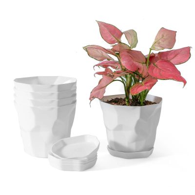 Plastic Pots 4 28 400x400