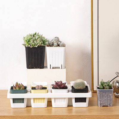 Plastic Pots 4 30 400x400