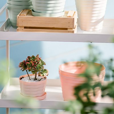Plastic Pots 5 15 400x400