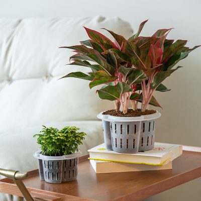 Plastic Pots 5 21 400x400