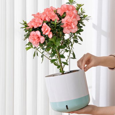 Plastic Pots 5 23 400x400
