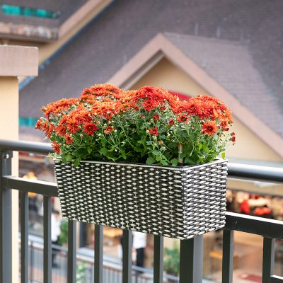 Plastic Pots 5 26 400x400