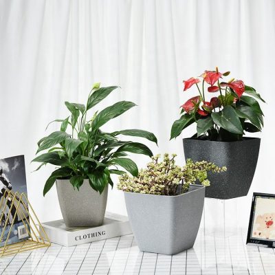 Plastic Pots 5 47 400x400