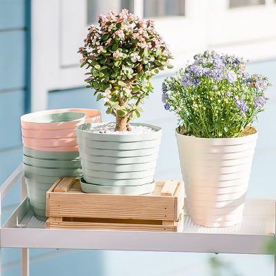 Plastic Pots 6 14 400x400