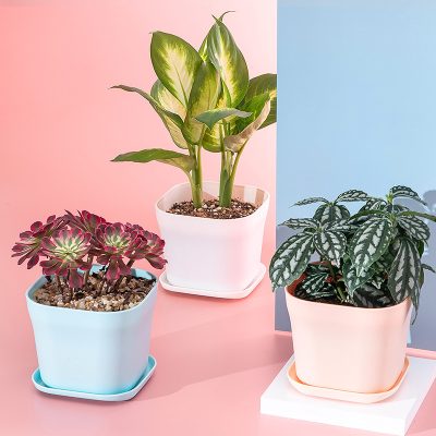 Plastic Pots 6 15 400x400