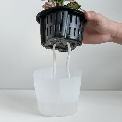 Plastic Pots 6 20 400x400