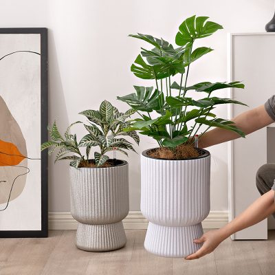 Plastic Pots 6 21 400x400
