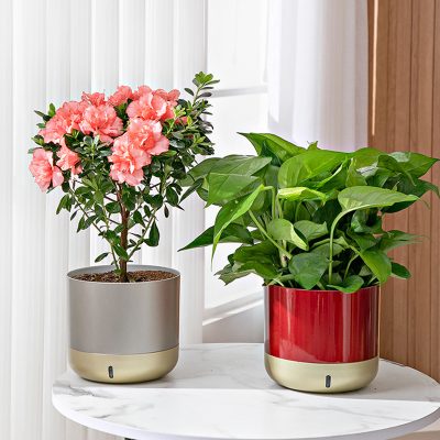 Plastic Pots 6 22 400x400