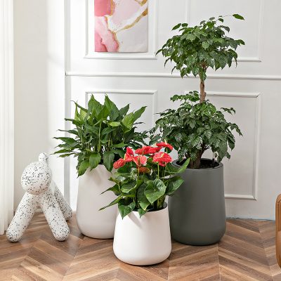 Plastic Pots 6 23 400x400