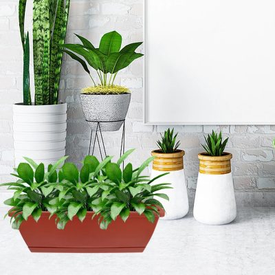 Rectangular Outdoors Flowerpot Office Large Plastic Pots 5 400x400