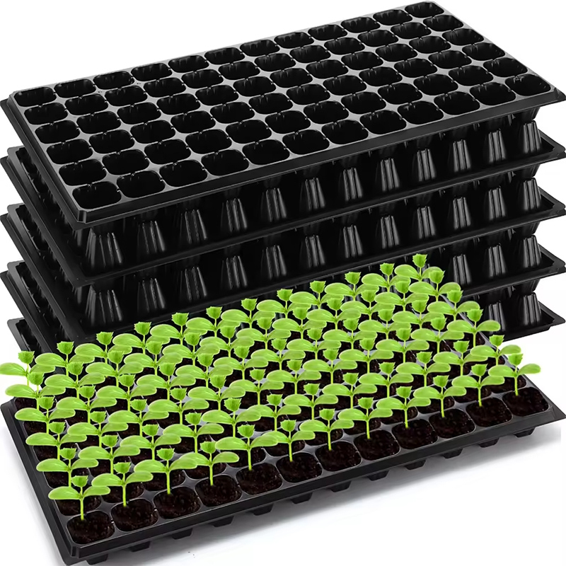 Seedling Tray 1 1