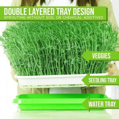 Seedling Tray 2 2 400x400