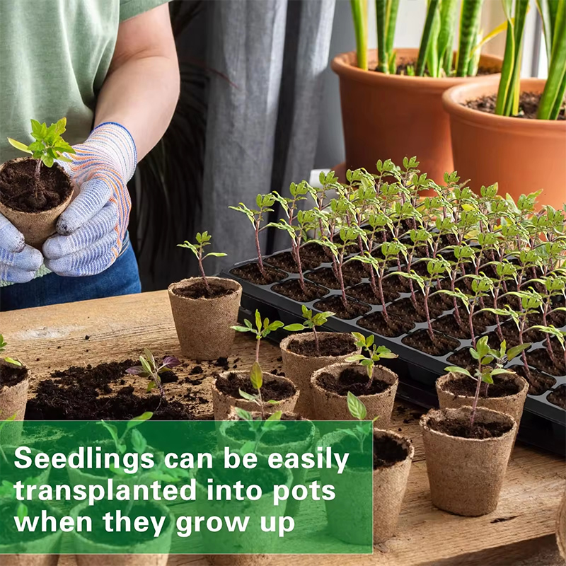 Seedling Tray 3 1
