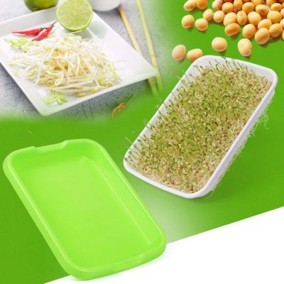 Seedling Tray 3 2 400x400