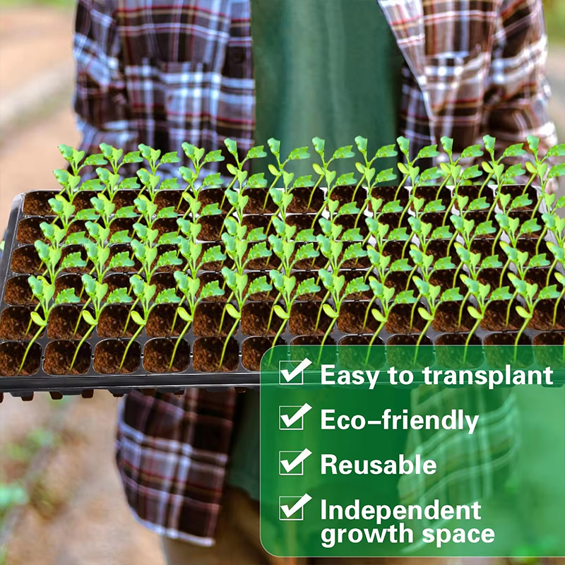 Seedling Tray 4 1